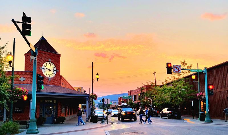 Whitefish