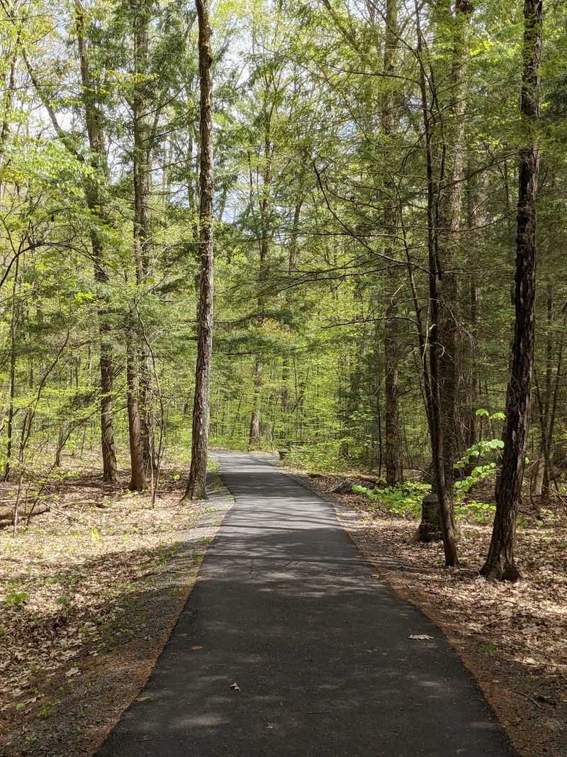 Pittsfield State Forest