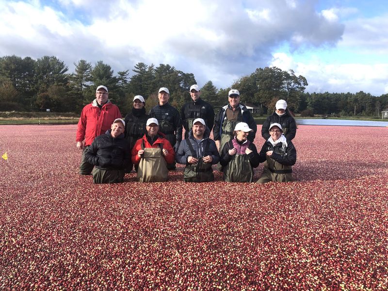 Three Generations Of Family Farming And Ocean Spray Roots