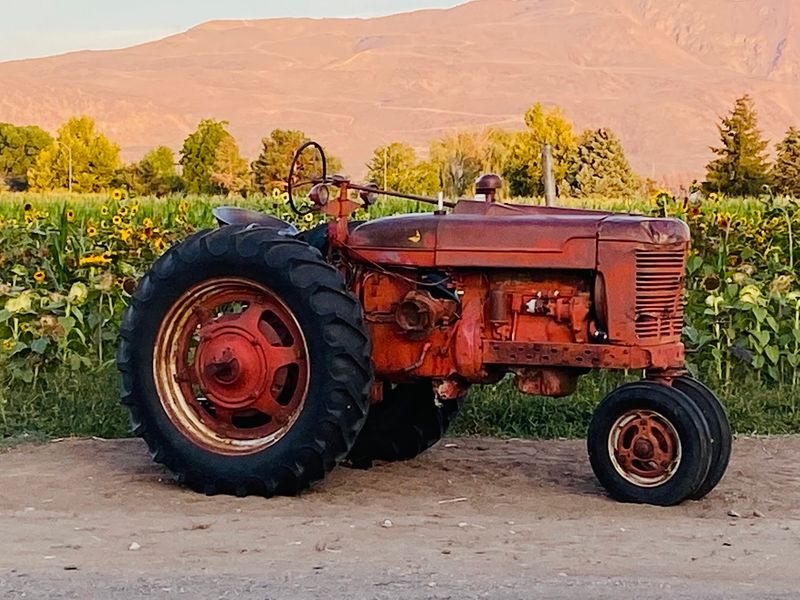 Take A Ride Around The Property