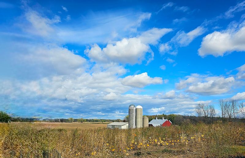 Chalk On The Silo And Photo Spots Everywhere