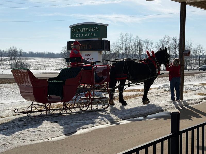 Winter Sleigh Rides Through Snowy Woods