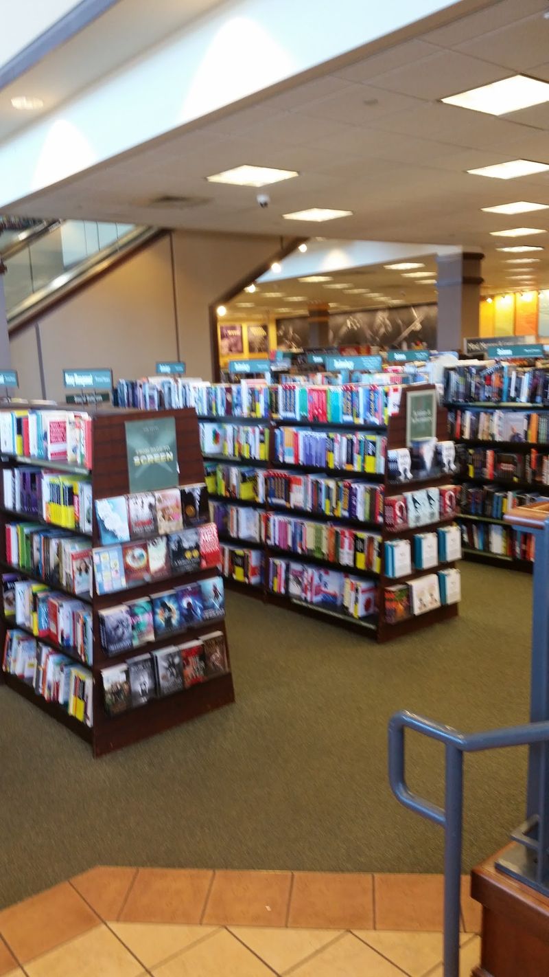 Planning The Perfect Reno Book Day