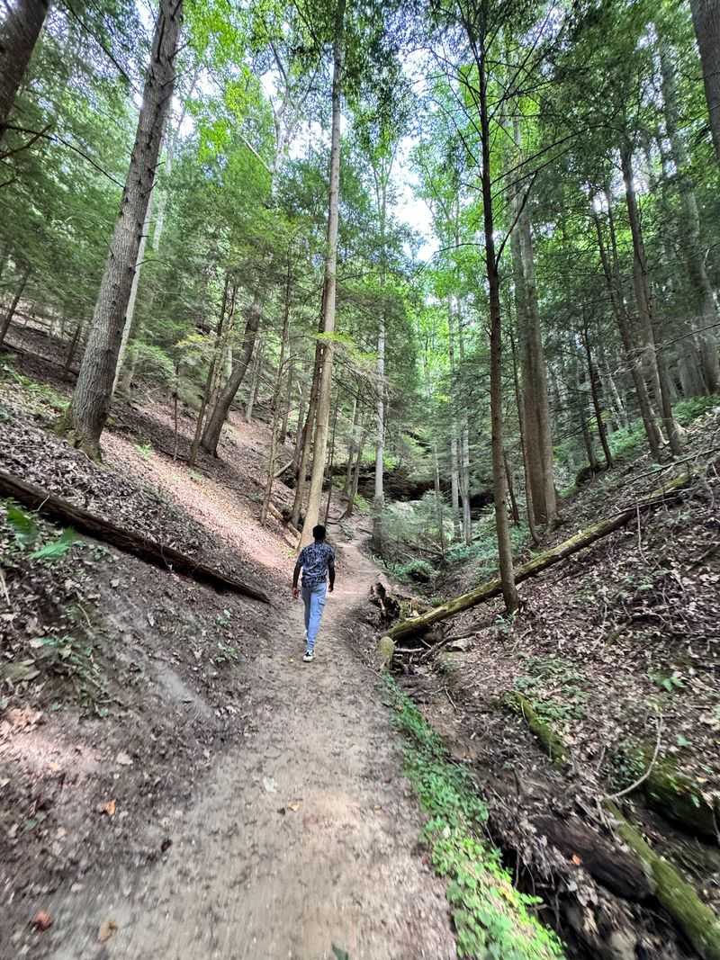 Cantwell Cliffs