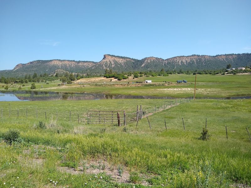 Elk Herds And The Edward Sargent Wildlife Area