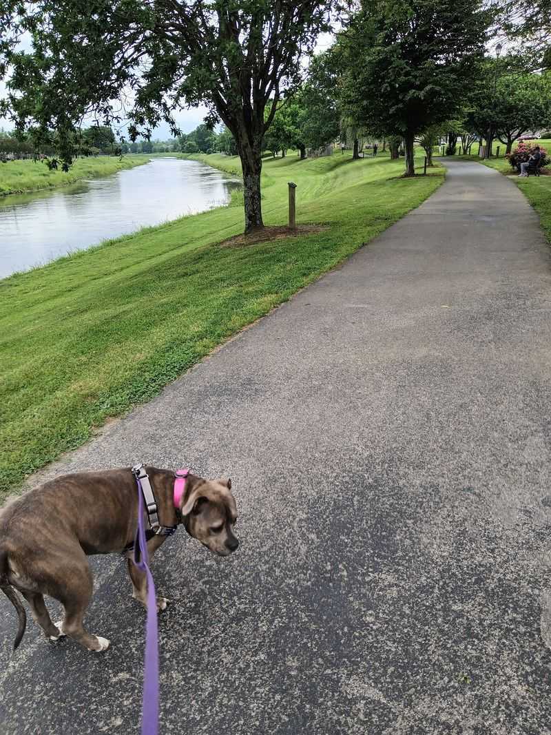 Bring The Dog, Bring The Leash, Bring The Bags