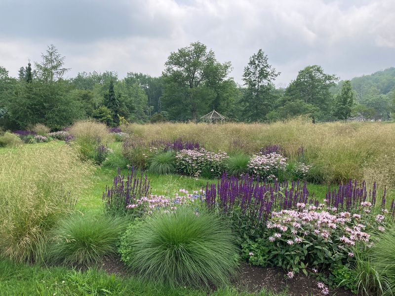 East Meadow Opens Up The Big Views