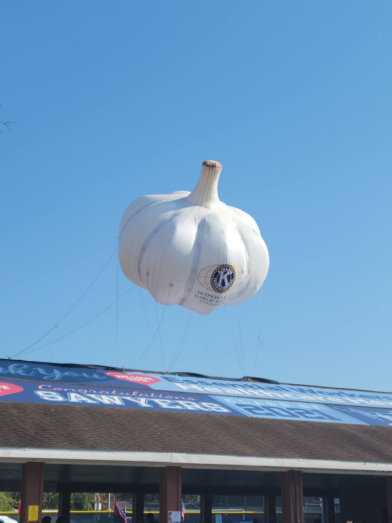 Hudson Valley Garlic Festival, Saugerties, NY