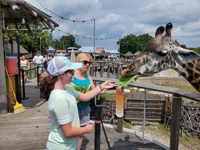 A Century-Old Zoo Straddling Broadway Street