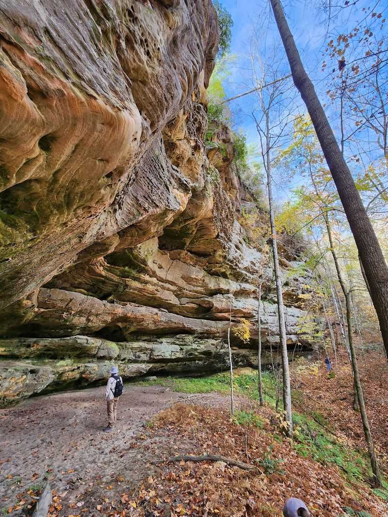 Big South Fork National River And Recreation Area, Oneida
