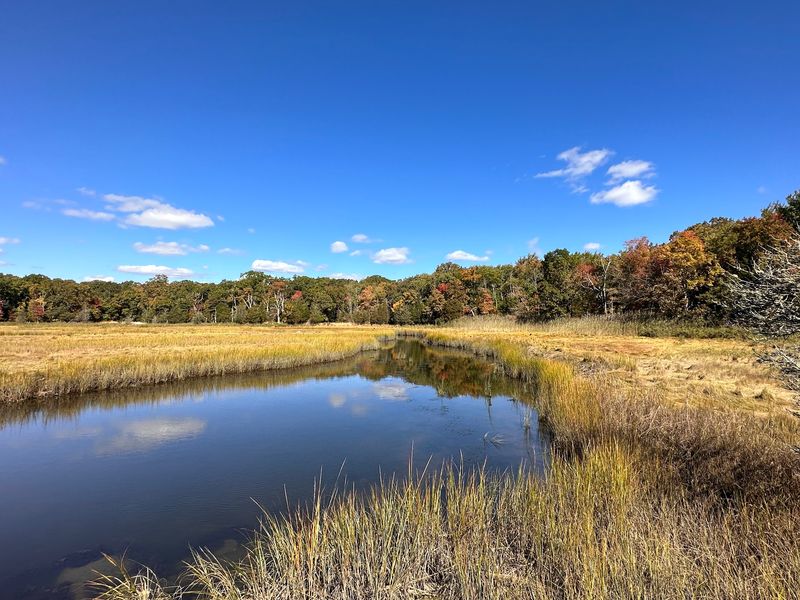 Environmental Concerns Linked To Development