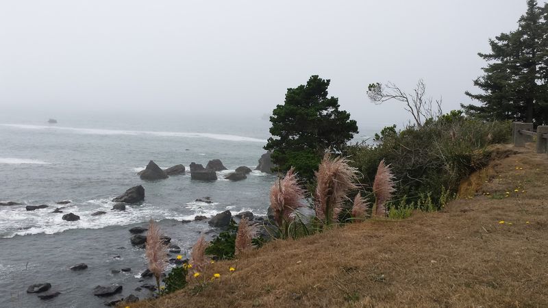 Cool Summers, Gentle Winters, And Plenty Of Green