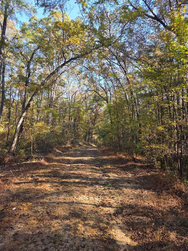 Horse Trails And Wildlife Watching