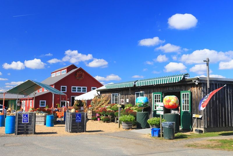 Carlson Orchards, Inc