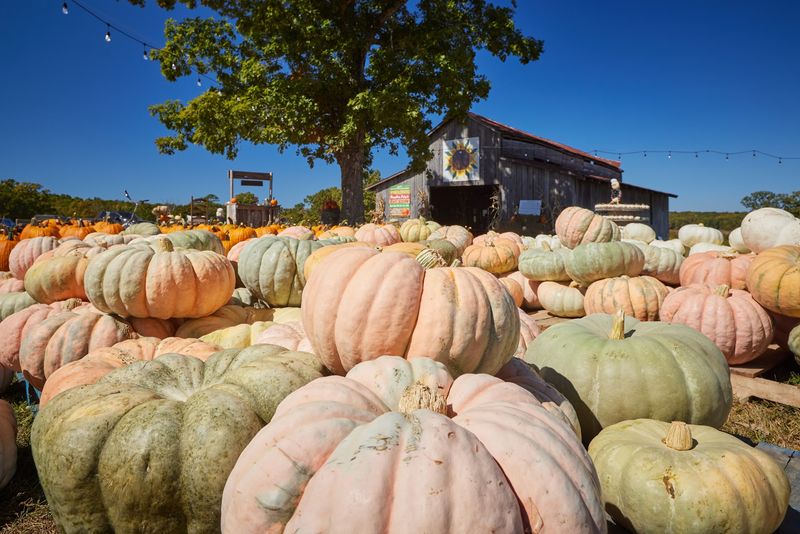 Flat Top Mountain Farm, Soddy-Daisy, TN