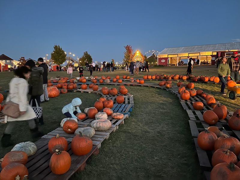 An Autumn Tradition Families Keep Coming Back To