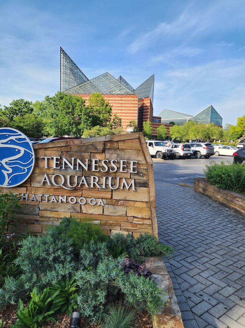 Food, Restrooms And Accessibility Notes