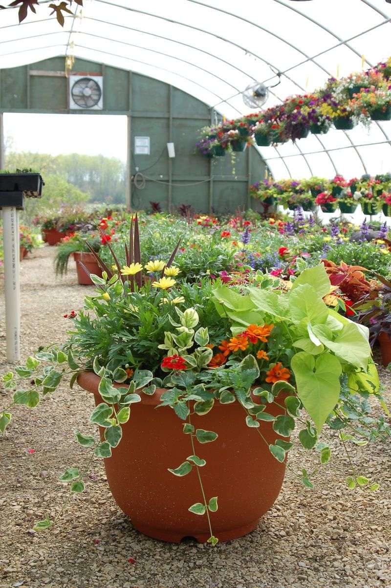 Seasonal Displays That Change With The Calendar