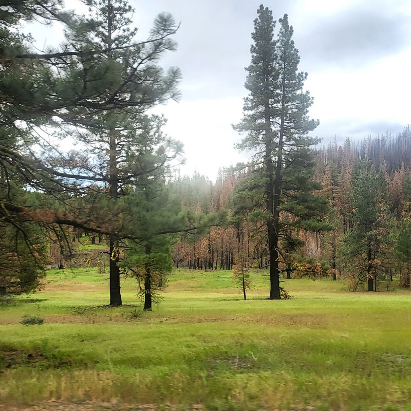 Four Real Seasons Without The Drama