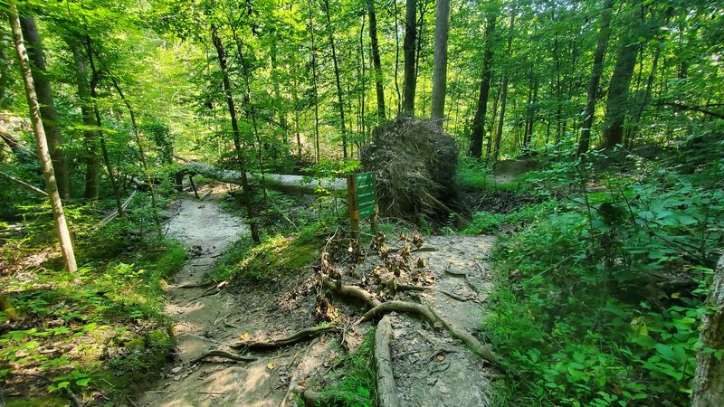 Twenty Miles Of Trails For Every Kind Of Hiker
