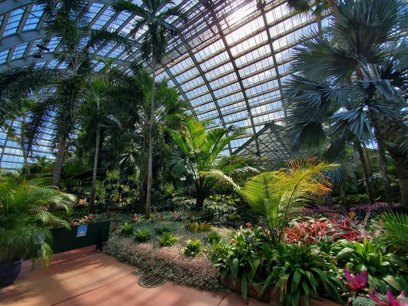 The Palm House And Its 65-Foot Ceiling
