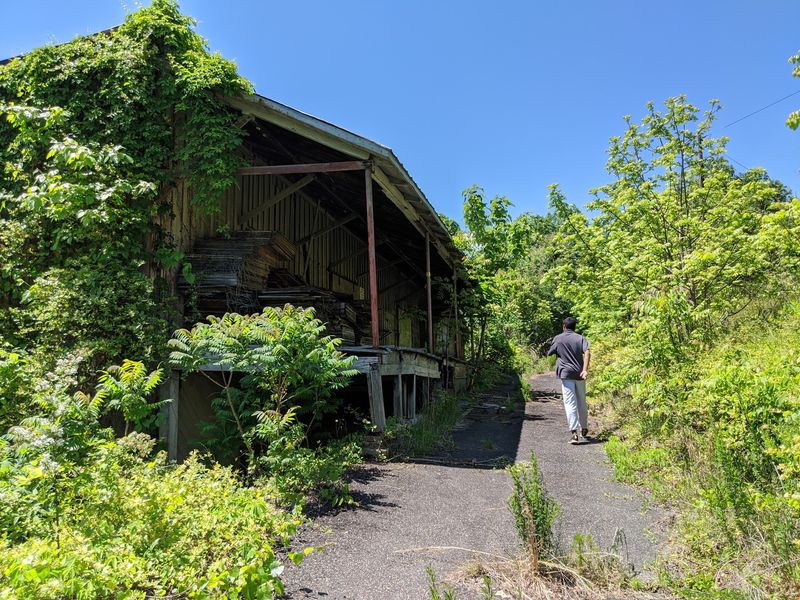 Tickets, Trails, And Self-Guided Wandering