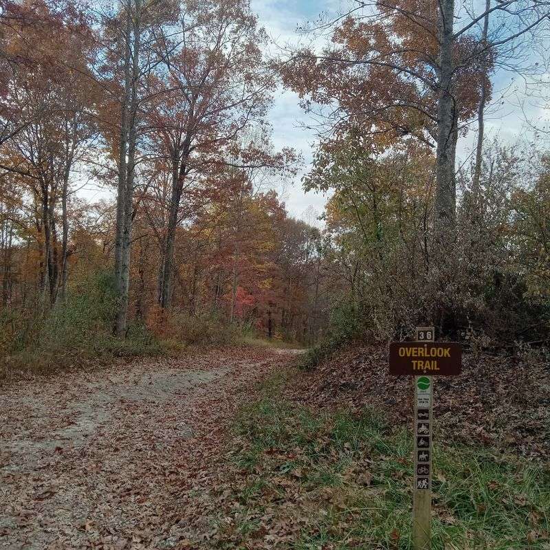 The Gravel Road Nobody Warns You About Enough