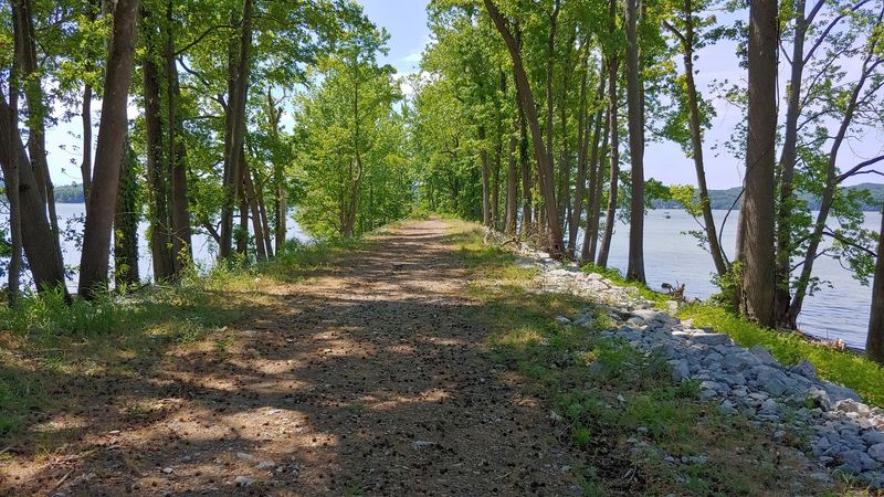 Finding The Park On The Riverbank