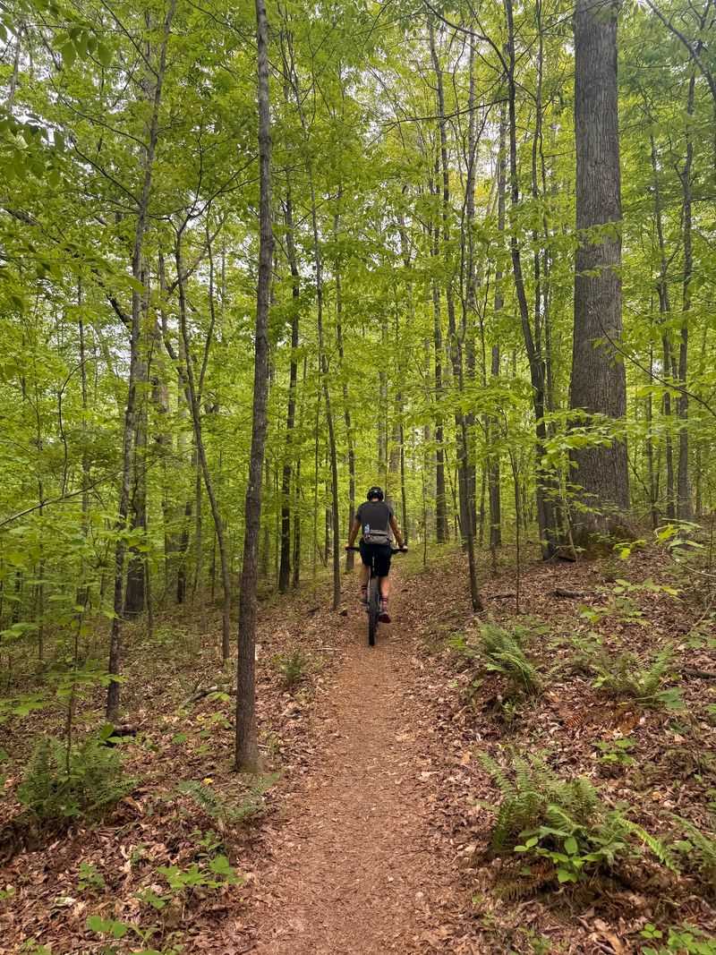 Respect Rules The Trail