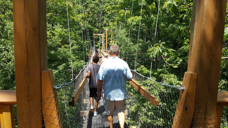 Stepping Onto the Murch Canopy Walk