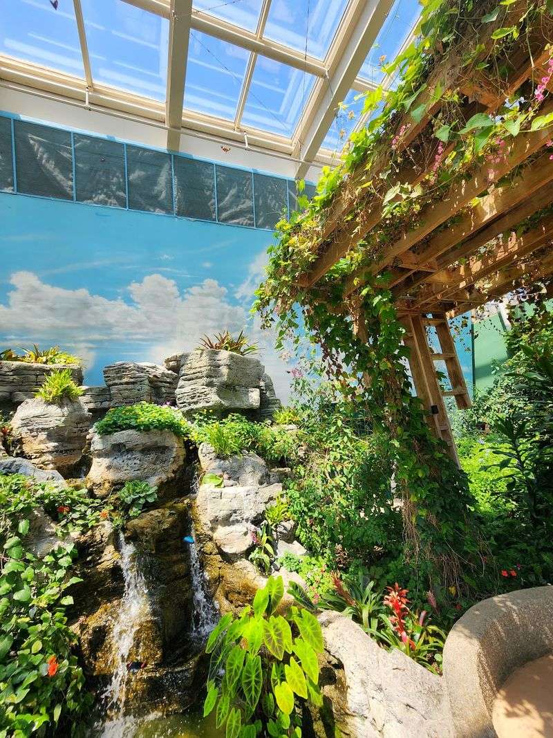 A Lincoln Park Museum Devoted to Local Wildlife