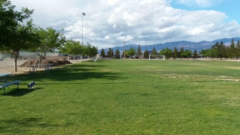 Cornhole, Horseshoes, And Friendly Competition