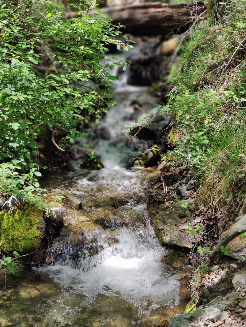 Genoa Canyon Trailhead, Minden