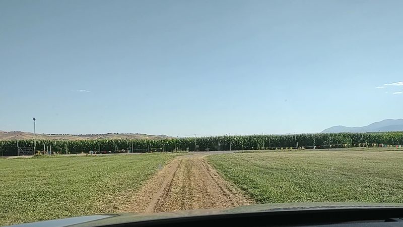 Five Acres Of Corn And Wrong Turns