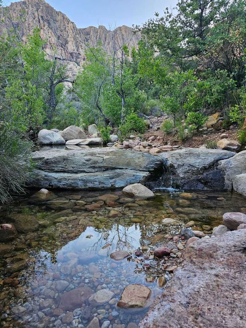 First Creek Trail, Las Vegas
