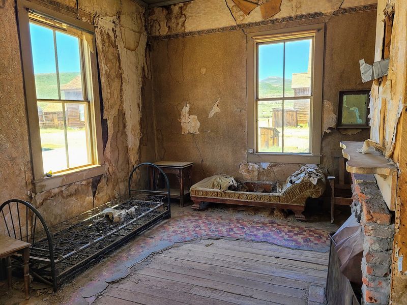 Preservation Efforts And Challenges