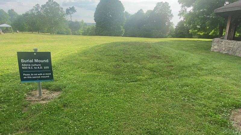 Picnic Shelter, Grills, And Shade Trees