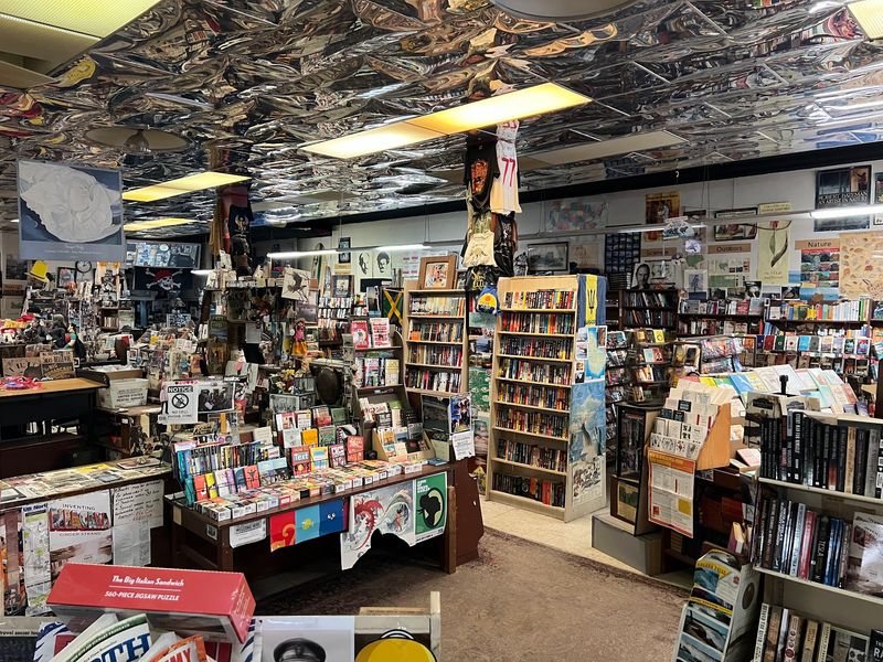 Oddities, Art, And Curiosities Between The Stacks