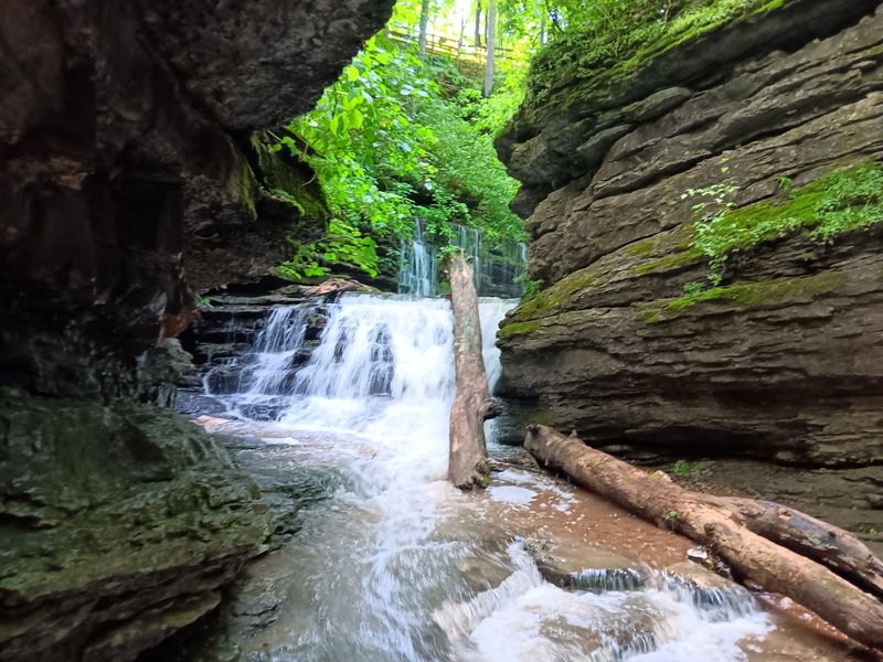 Cascades, Milk Pails, And Red Oaks