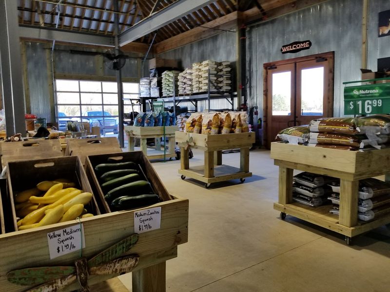 Grocery Basics Alongside The Unusual