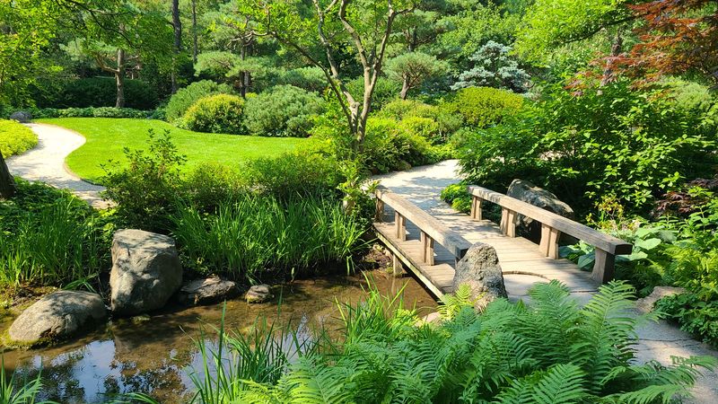 Handcrafted Bridges and Traditional Buildings