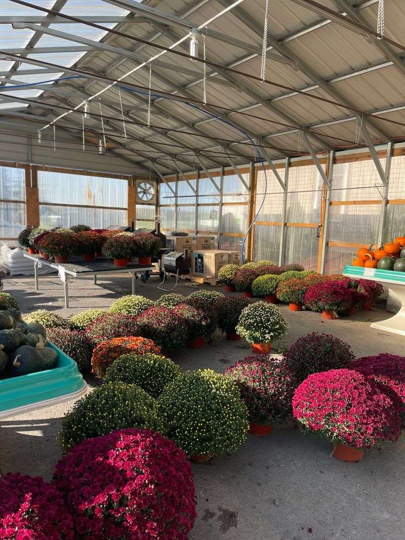 Greenhouse Blooms And Harvest Produce