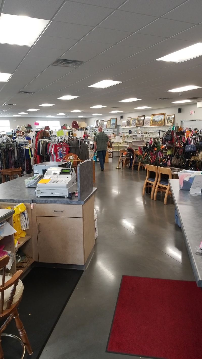 Housewares And Kitchen Gear For Setting Up A Home