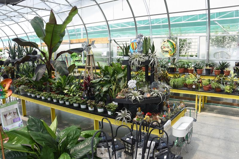 The Greenhouse And Garden Section
