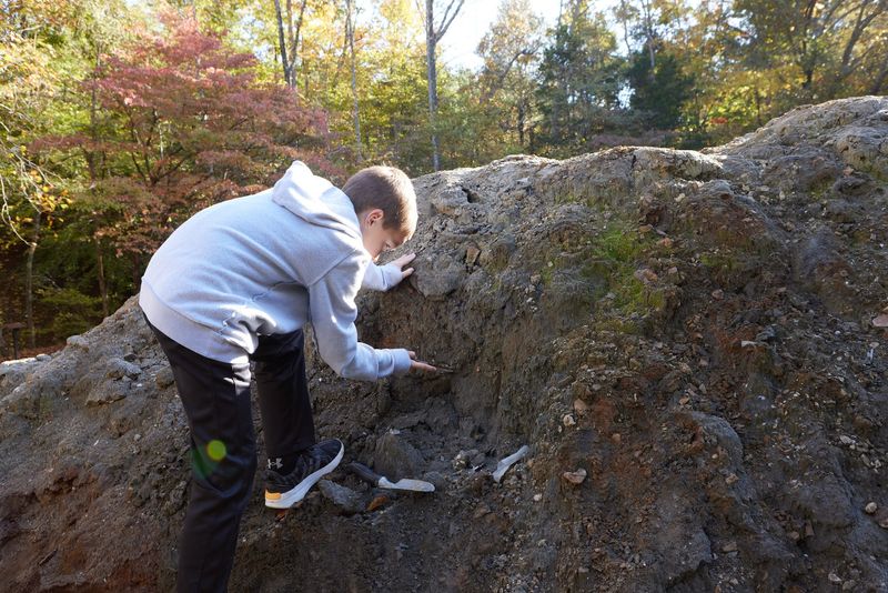 The $20 Four-Hour Public Dig