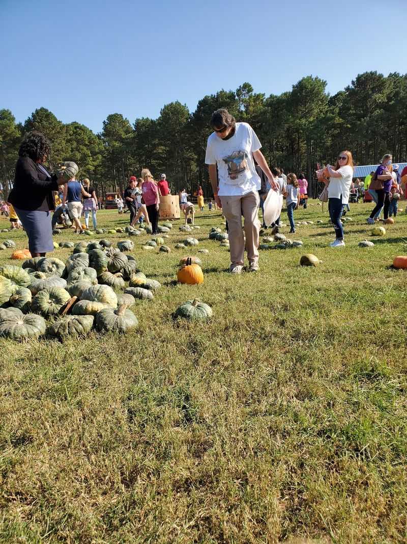 The Mississippi Peanut Festival Weekend