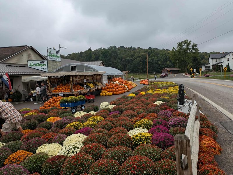A Farm Market Parked On State Route 557