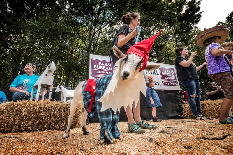Arkansas Goat Festival