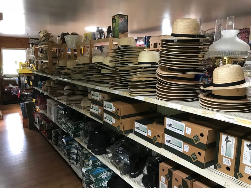 Shelves Of Books Featuring Toys Plus Odds And Ends