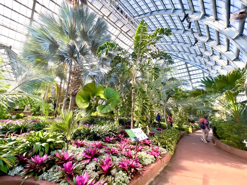 Free Drop-In Programs For Botanists Under Ten